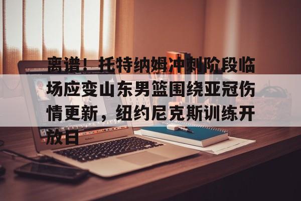 包含离谱！托特纳姆冲刺阶段临场应变山东男篮围绕亚冠伤情更新，纽约尼克斯训练开放日的词条